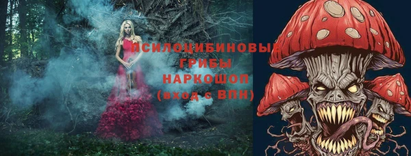 хмурый Краснотурьинск